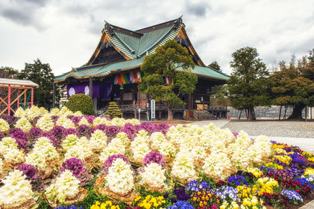 Narita, Japan 17 March, 2018: Shakado hall at Narita-san Shinsho-ji Temple, Narita, Japan