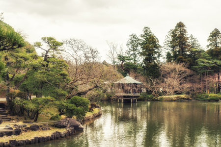 A Japanese Garden and koi carps in the pond.