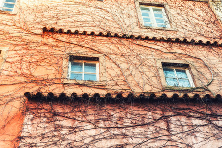 prague, Czech Republic - April 04: Wall and window covered with vines