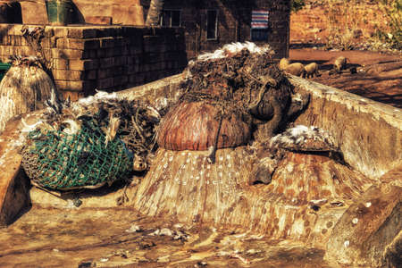Chicken Feathers And Animal Bones Cover A Shrine Dedicated To The Ancestors, Ghanaの写真素材