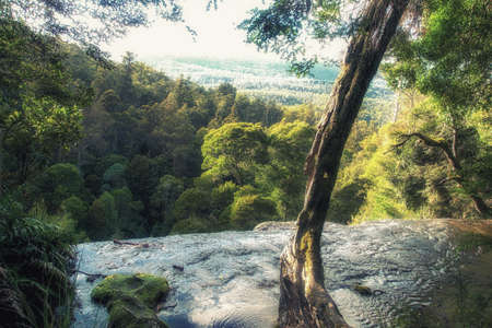 Russel Falls in lush rainforest. Mount Field National Park, Tasmania, Australia