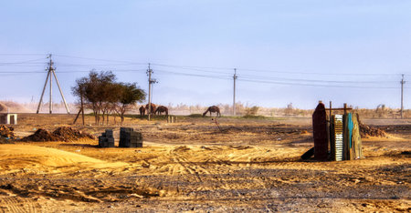 Derweze, Turkmenistan - October 7, 2015: A scene in a tiny village in the Karakum Desert, about 200km North of the capital Ashgabat.のeditorial素材