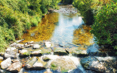 Stream in the Black Forest.