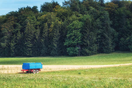 Beautiful wheat, grain, and corn fields, Germany's Farmlandscapeの写真素材
