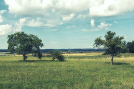 Schwarzwald (Black Forest) landscape on a summer dayの写真素材