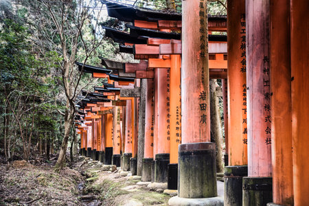 Red Torii gates in Fushimi Inari shrine, one of famous landmarks in Kyoto, Japanのeditorial素材