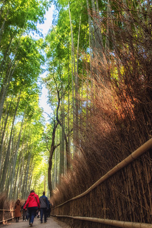 Kyoto, Japan - December 28, 2018: View of the People walking in bamboo forest at Arashiyama Kyoto Japan. famous walking paths Arashiyama bamboo forest in northwestern Kyoto, Japanのeditorial素材