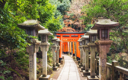 Torii gates in Fushimi Inari Shrine.のeditorial素材