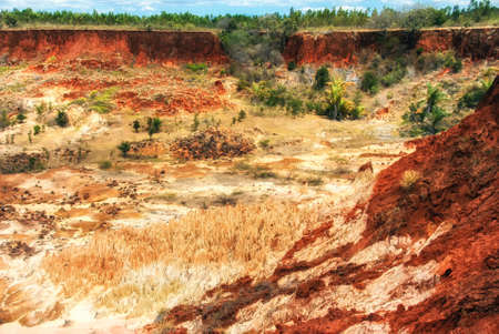 Red Tsingy in Madagascar, Africa. Stone formation of red laterite formed by erosion of the Irodo River in the region of Diana in north of Madagascar.の写真素材