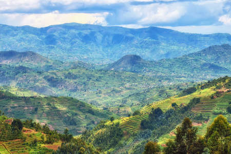 Beautiful rural landscape with agricultures terraces, Rwanda near Nyungwe National Park, Africaの写真素材