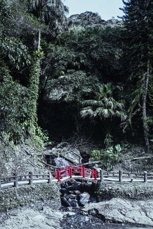 Red bridge in subtropical rainforest.