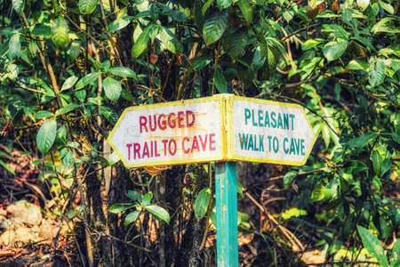 Trail Marker at Arwah Cave gorge, Cherrapunji, India.