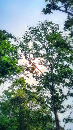 Sights at Nameri National Park, India