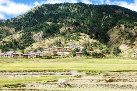 Small rural village in central plateau in Madagascar.の写真素材