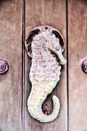 Metal knocker shaped sea horse (Hippocampus Syngnathidae). Spanish colonial style door. Cartagena de Indias, Colombia.の写真素材