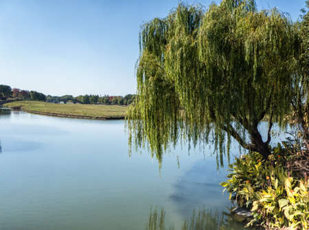 Beautiful nature scenery at Shanghai Zhujiajiao Ancient water Town. Chinaの写真素材