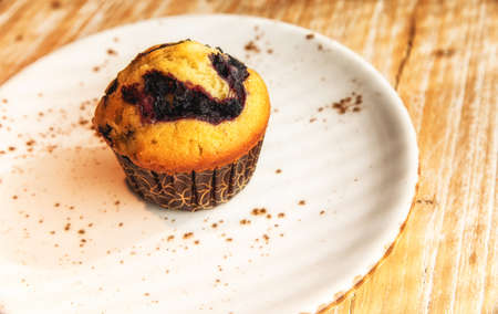 Homemade vegan blueberry muffin presented on a ceramic plate