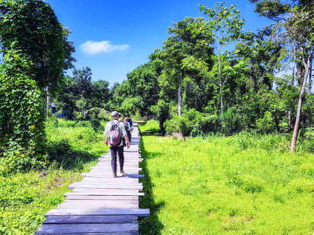 Tourists crossing an Amazon boardwalk over marsh land. Peru, South America.の写真素材