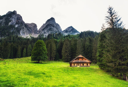 Alpine meadow with some cottages and the Gosau mountain peaks in the background, Austria.のeditorial素材