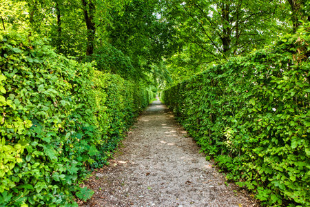 The Nymphenburg Palace Park is one of the largest and most important garden artworks in Germany. The...