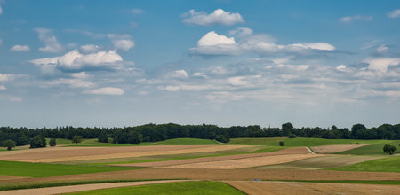 Lovely rural countryside in beautiful sunlight. Pasture landscape with barnyards. Peaceful atmosphere of a typical bavarian cultured landscape.の写真素材