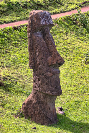 Moais in Rapa Nui National Park on the slopes of Rano Raruku volcano on Easter Island, Chile.の写真素材