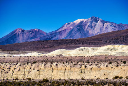 The Atacama Desert is a desert plateau in South America covering a 1000-km (600-mi) strip of land on...