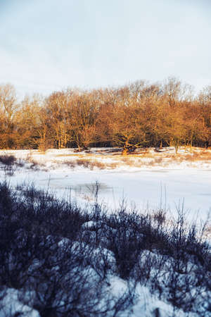 Winter landscape with snow and a frozen lake in the Netherlandsの写真素材