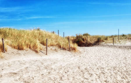 Beach entrance through tall sand dunesの写真素材