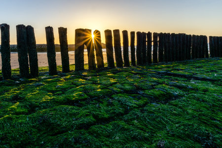 Wavebreakers at the beach in Zeeland during sunsetの写真素材