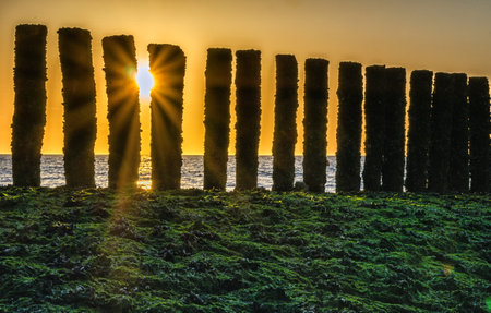 Wavebreakers at the beach in Zeeland during sunsetの写真素材
