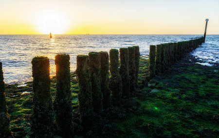 Wavebreakers with waves at the beach at Cadzand, Nethlerands.の写真素材