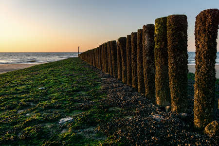 Pole heads or wave-breakers close-up disappearing in North Sea in Hollandの写真素材