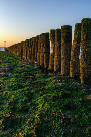 Wavebreakers with waves at the beach at Cadzand, Nethlerands.の写真素材