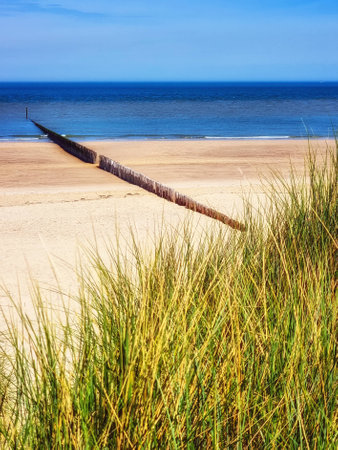 Beach with wooden weave breakers in landscape.の写真素材