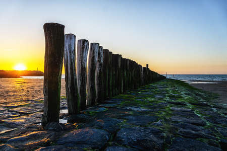 Pole heads or wave-breakers close-up disappearing in North Sea in Hollandの写真素材