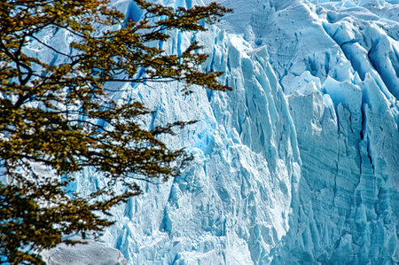 Perito Moreno Glacier, Argentina, Los Glaciares National Parkの写真素材
