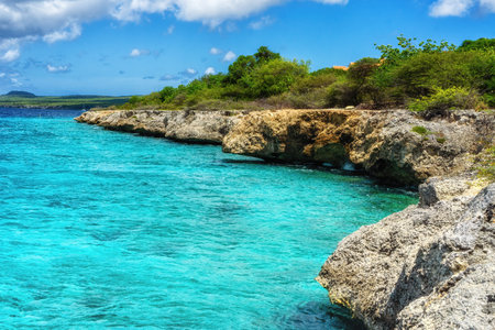 beautiful coast on the caribbean island of bonaire, good snorkel dive site on island. enjoy relaxationの写真素材