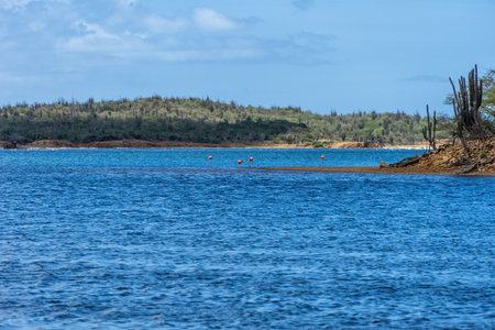 Goto Salt and Flamingo Lake on the island of Bonaireの写真素材