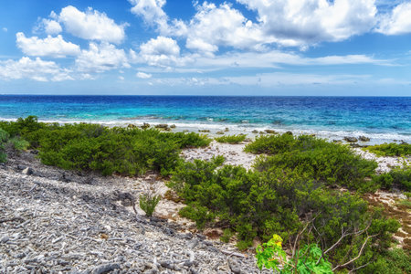Beach on the west side of Bonaire, Netherlands Antilles.の写真素材