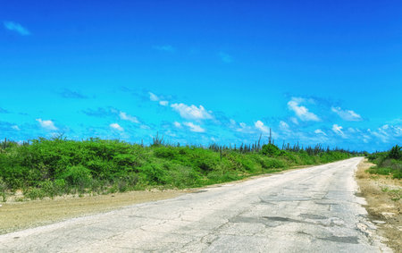 A road surrounded by green scenery under the blue sky in Bonaire, Caribbeanの写真素材