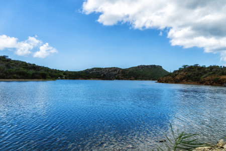 Goto Salt and Flamingo Lake on the island of Bonaireの写真素材