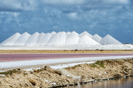 Salt flats in Bonaire (netherlands antilles). Salt pyramids and highly salinated red water.の写真素材