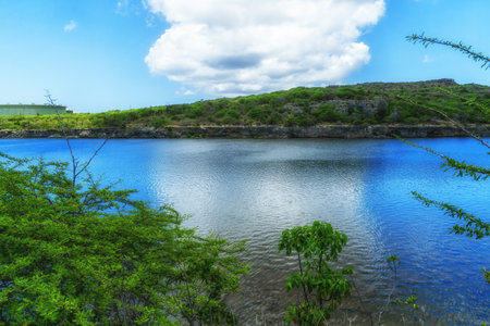 Goto Salt and Flamingo Lake on the island of Bonaireの写真素材