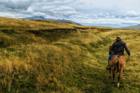 "Chagras" cowboys riding on the moors of Cotopaxi National Park, Equadorの写真素材