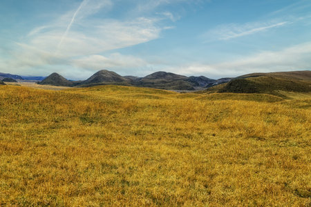 Landscape view of Cotopaxi National Park in Central Ecuador, home to andean vegetation like Lupinus bogotensisの写真素材