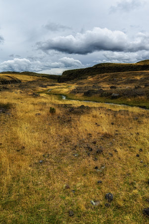 Cotopaxi National Park  is a protected area in Ecuador situated in the Cotopaxi Province, Napo Province and Pichincha Province, roughly 50 km south of Quito., Ecuadorの写真素材