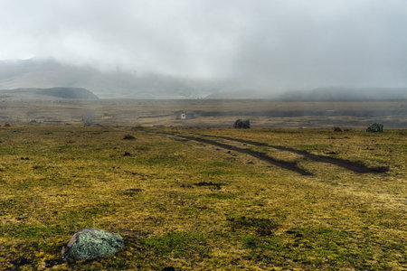 Misty Cotopaxi National Park, Cotopaxi Province, Ecuadorの写真素材