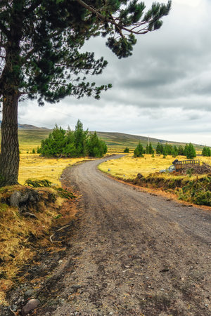 Stunning landscape with winding dirt road leading to Cotopaxi National Park, Ecuadorの写真素材
