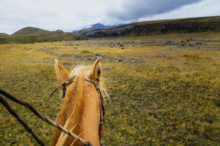 Horseback riding in Ecuador Cotopaxi National Parkの写真素材
